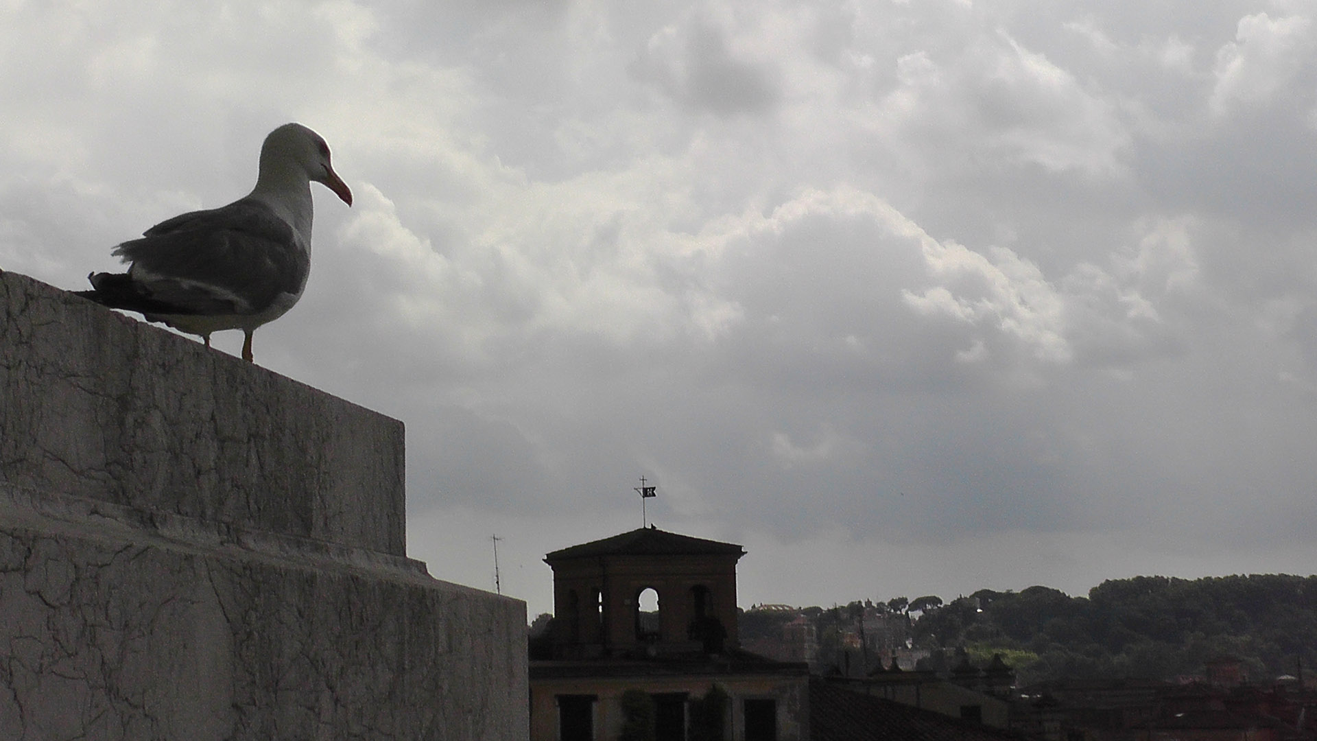 Leadership Today - Rome, Italy