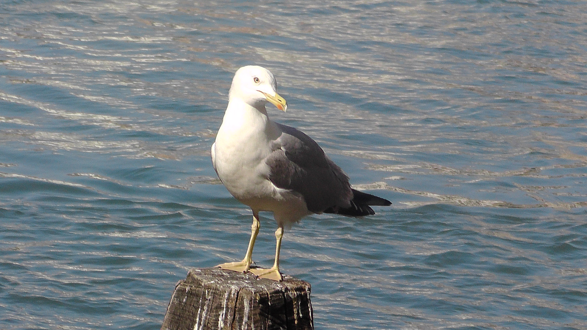 Leadership Today - Venice, Italy